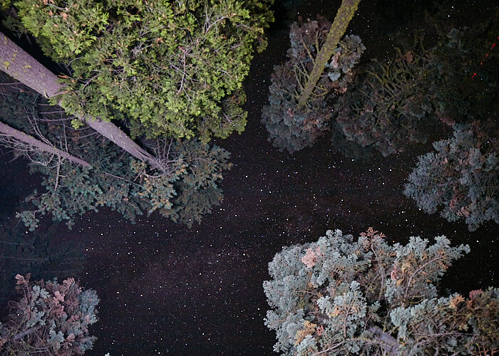 Ein Blick in die Sterne