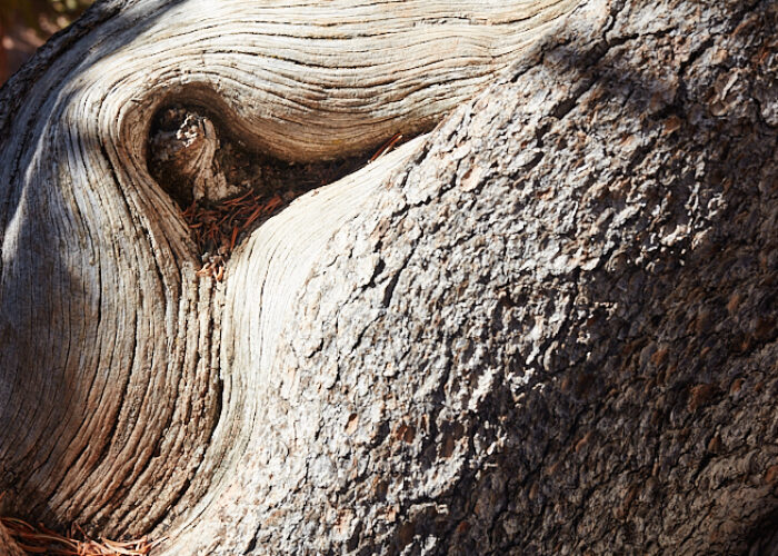 Alt, älter, am ältesten